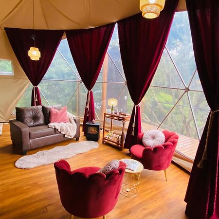 Feliza Rainforest Domes Monteverde Kültér fotó